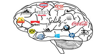 上海品牌策劃公司 從“你是誰”到“你想處于什么位置”——品牌戰略與市場營銷策劃的核心路徑